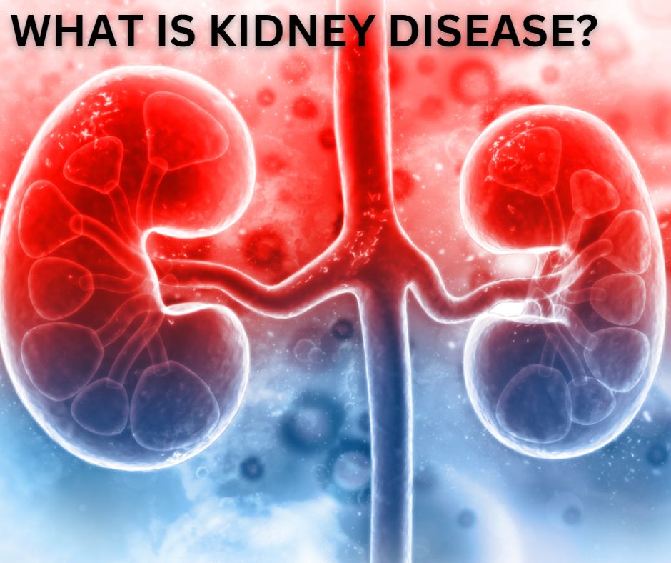 kidney treatment in india